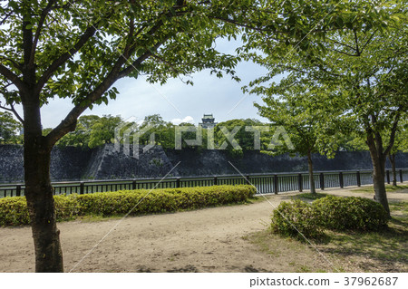 從大阪城公園Higashiurari和紀念樹森林看見的城堡塔 從大阪城公園Higashiurari和紀念樹森林看見的城堡塔 37962687