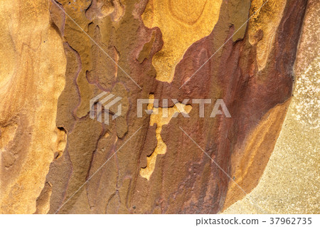 sandstone structure background sandstone structure background 37962735