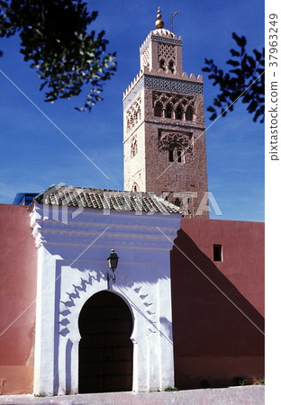 AFRICA MOROCCO MARRAKESH 37963249