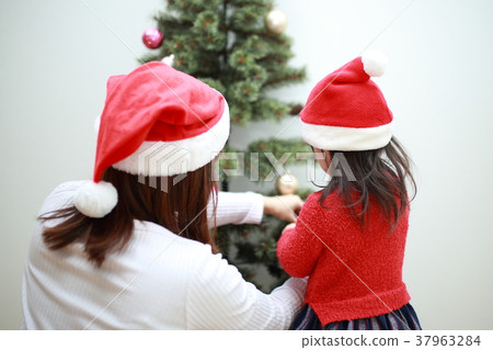 Christmas Tree (Events Event Apartment House Home Party Pine Tree Tree Plant Winter) Christmas Tree (Events Event Apartment House Home Party Pine Tree Tree Plant Winter) 37963284