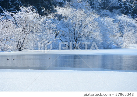 滋賀縣湖Yoho雪景 37963348
