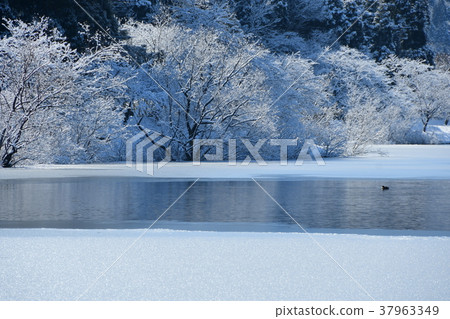 滋賀縣湖Yoho雪景 滋賀縣湖Yoho雪景 37963349
