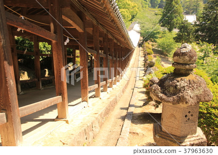 Kibitsu神社的走廊 Kibitsu神社的走廊 37963630
