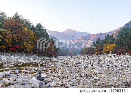 Baekdam Valley，Seoraksan，Inje-gun，江原道 37965124