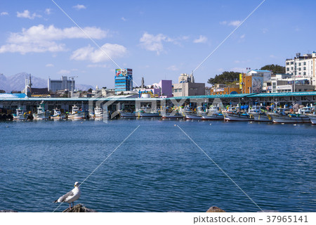 江原道束草市東明湖 37965141