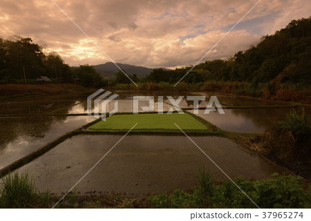 ASIA THAILAND MAE HONG SON ASIA THAILAND MAE HONG SON 37965274