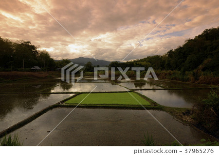 ASIA THAILAND MAE HONG SON ASIA THAILAND MAE HONG SON 37965276