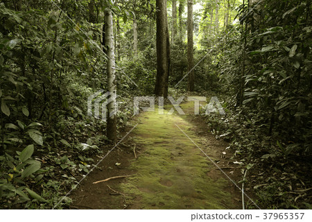 ASIA THAILAND MAE HONG SON SOPPONG 37965357