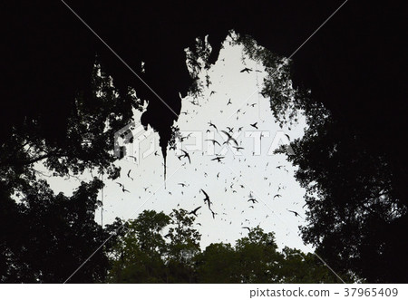 ASIA THAILAND MAE HONG SON SOPPONG 37965409