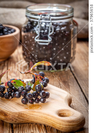 Black chokeberry. Black chokeberry. 37965658