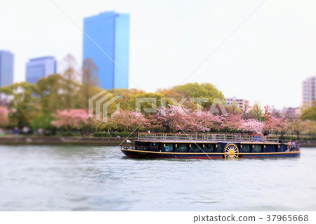 Hanami Cruise繞大阪造幣廠辦公 Hanami Cruise繞大阪造幣廠辦公 37965668