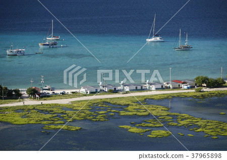 SOUTH AMERICA VENEZUELA LOS ROQUES ISLAND 37965898
