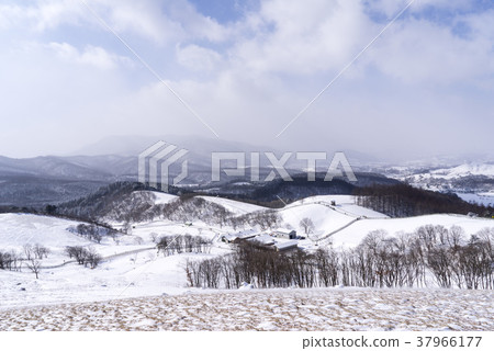 Sheep Ranch, Daegwallyeong, Pyeongchang-gun, Gangwon-do Sheep Ranch, Daegwallyeong, Pyeongchang-gun, Gangwon-do 37966177