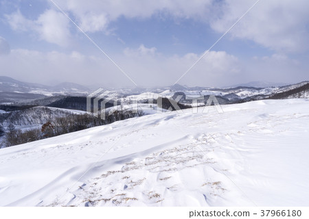 綿羊牧場,Daegwallyeong,平昌郡,江原道 綿羊牧場,Daegwallyeong,平昌郡,江原道 37966180