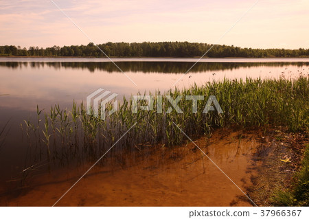 EUROPE LITHUANIA EUROPE LITHUANIA 37966367