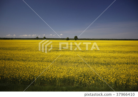 EUROPE LITHUANIA EUROPE LITHUANIA 37966410
