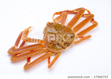 Snow crab raw ingredients 37966787
