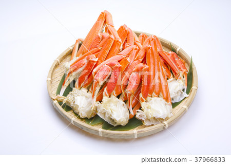 Snow crab foot food 37966833