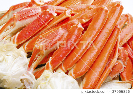 Snow crab foot food 37966836