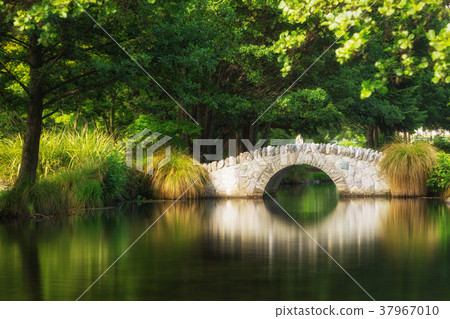 Beautiful Bridge in Botanical Garden 37967010