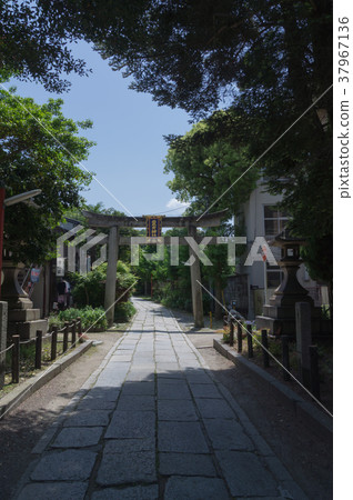 在京都三條的鳥居和石階 37967136