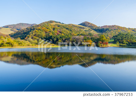 永川，Seosan-si，忠南 37967253