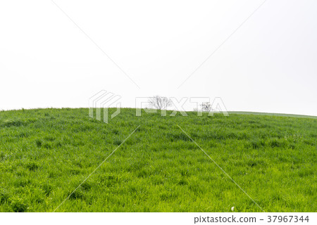 Seosan Ranch, Seosan City, Chungnam 37967344