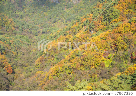 Gongongbuk，奉化郡Cheongryangsan 37967350