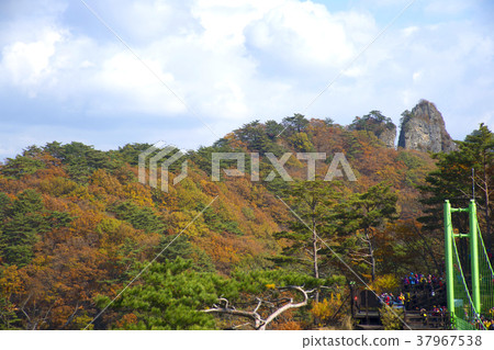 Cheongryangsan, Bonghwa-gun, Gyeongbuk 37967538