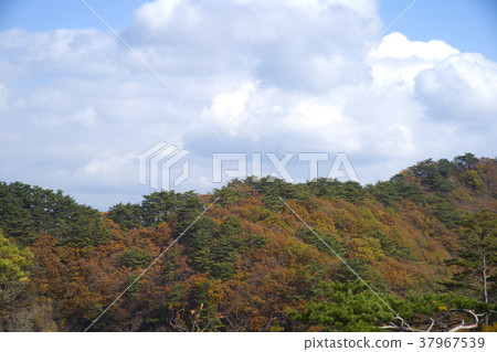 Cheongryangsan, Bonghwa-gun, Gyeongbuk 37967539