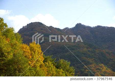 Cheongryangsan, Bonghwa-gun, Gyeongbuk 37967546