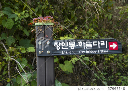 Gongongbuk，奉化郡Cheongryangsan 37967548