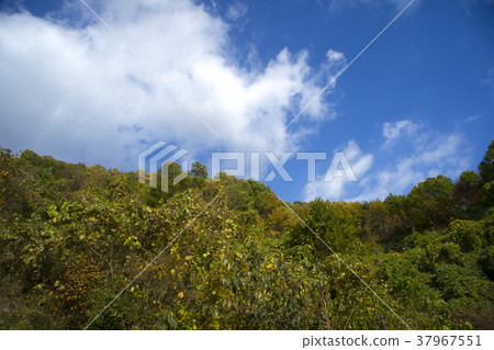 Cheongryangsan, Bonghwa-gun, Gyeongbuk 37967551