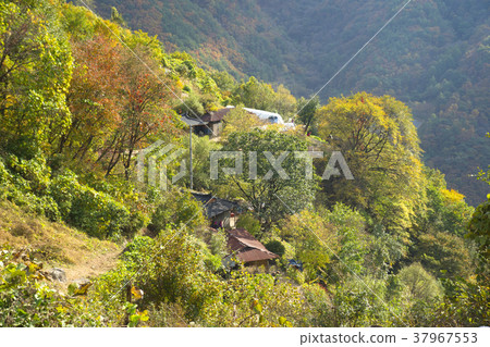 Cheongryangsan, Bonghwa-gun, Gyeongbuk 37967553