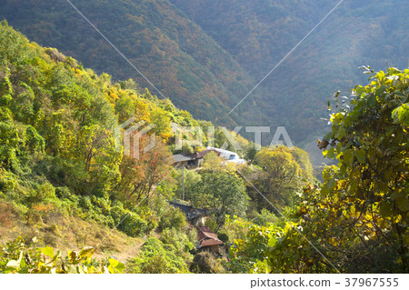 Cheongryangsan, Bonghwa-gun, Gyeongbuk 37967555