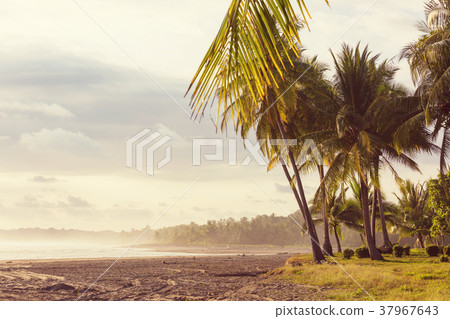 Coast in Costa Rica 37967643