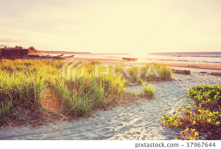 Coast in Costa Rica Coast in Costa Rica 37967644