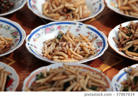 ASIA SOUTHEASTASIA LAOS VIENTIANE ASIA SOUTHEASTASIA LAOS VIENTIANE 37967814