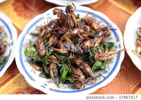 ASIA SOUTHEASTASIA LAOS VIENTIANE 37967817