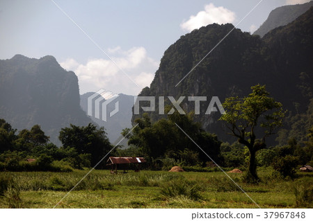 ASIA SOUTHEASTASIA LAOS VANG VIENG LUANG PRABANG 37967848
