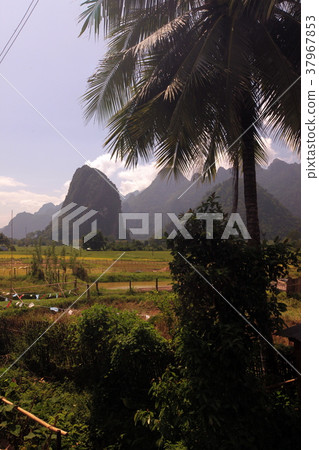 ASIA SOUTHEASTASIA LAOS VANG VIENG LUANG PRABANG 37967853