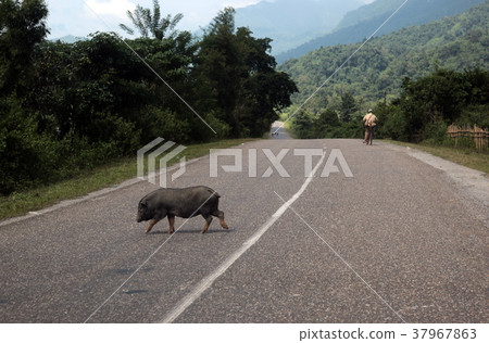 ASIA SOUTHEASTASIA LAOS VANG VIENG LUANG PRABANG 37967863