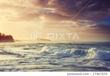 Wave 37967870