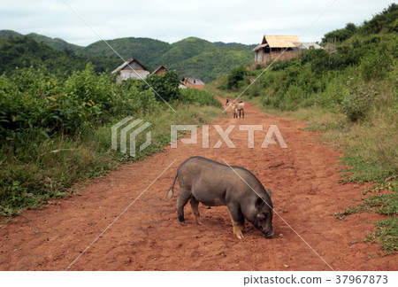 ASIA SOUTHEASTASIA LAOS VANG VIENG LUANG PRABANG ASIA SOUTHEASTASIA LAOS VANG VIENG LUANG PRABANG 37967873