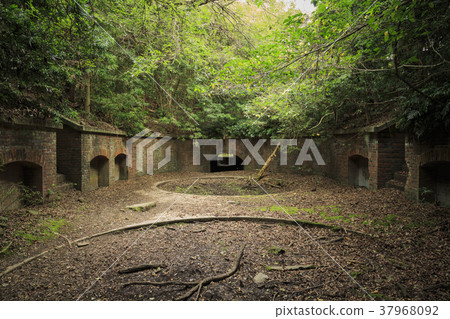 Wakayama Prefecture, Tomogashima 37968092