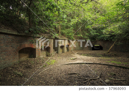 Wakayama Prefecture, Tomogashima Wakayama Prefecture, Tomogashima 37968093