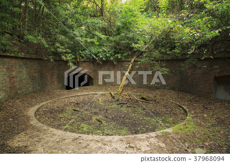 Wakayama Prefecture, Tomogashima 37968094