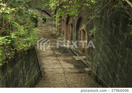 Wakayama Prefecture, Tomogashima 37968096