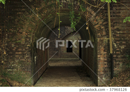 Wakayama Prefecture, Tomogashima 37968126