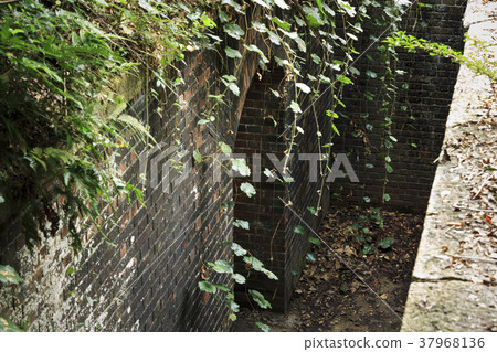 和歌山縣友島縣 37968136